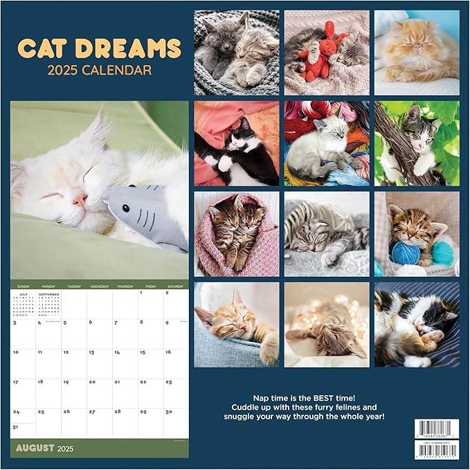 TF PUBLISHING 2025 Cat Dreams Wall Calendar Case of 48 - Large Grids for Appointments and Scheduling - Vertical Monthly Wall Calendar - Home and Office Organization - Premium Gloss Paper - 12"x12”