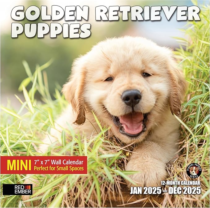 RED EMBER Golden Retriever Puppies Mini 2025 Wall Calendar 12 Month | 7" x 14" Open | Thick & Sturdy Paper | Giftable | Calendar 2025