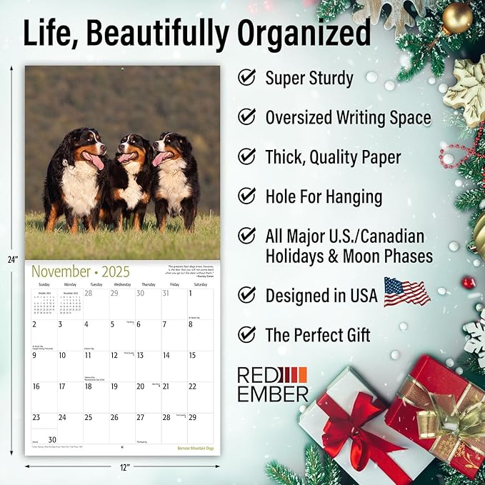RED EMBER Bernese Mountain Dogs 2025 Wall Calendar 12 Month | 12" x 24" Open | Thick & Sturdy Paper | Giftable | Calendar 2025