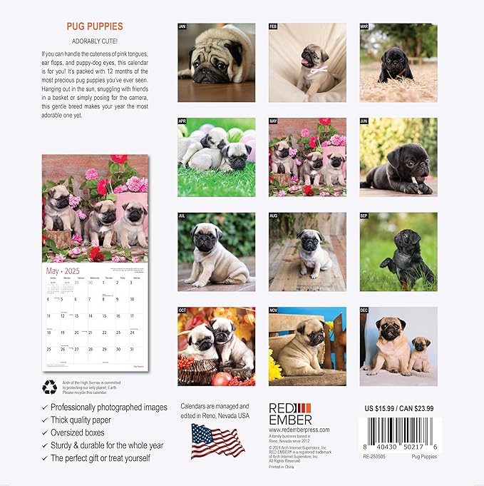 RED EMBER Pug Puppies 2025 Wall Calendar 12 Month | 12" x 24" Open | Thick & Sturdy Paper | Giftable | Calendar 2025