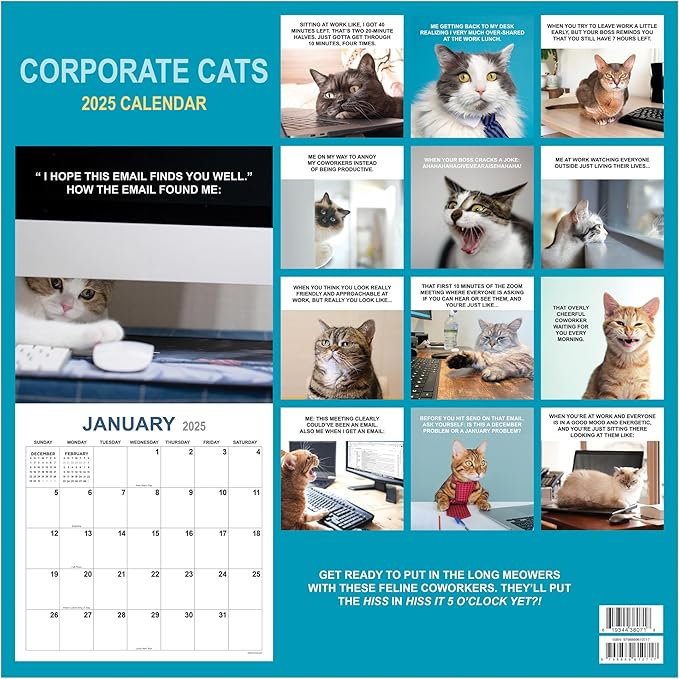 TF PUBLISHING 2025 Corporate Cats Wall Calendar - Large Grids for Appointments and Scheduling - Vertical Monthly Wall Calendar 2025 - Home and Office Organization - Premium Gloss Paper - 12"x12”