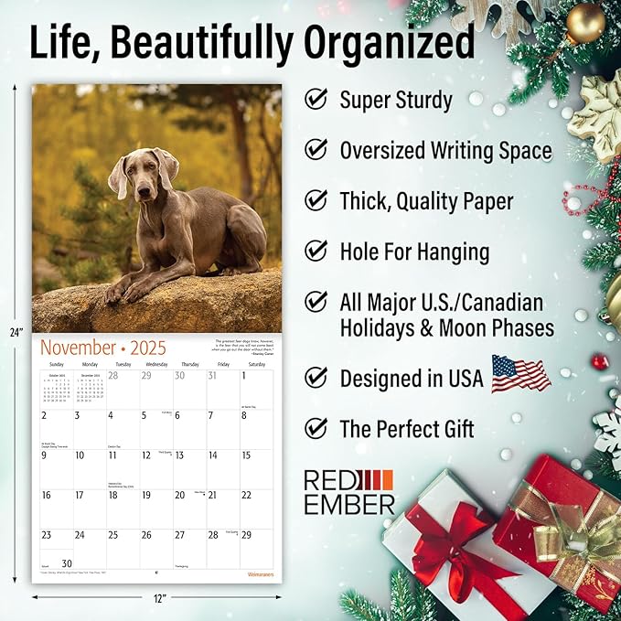 RED EMBER Weimaraners 2025 Wall Calendar 12 Month | 12" x 24" Open | Thick & Sturdy Paper | Giftable | Calendar 2025
