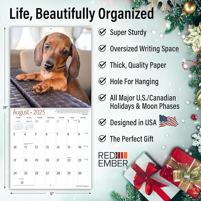 RED EMBER Select - Dachshund Puppies 2025 Wall Calendar 12 Month | 12" x 24" Open | Thick & Sturdy Paper | Giftable | Calendar 2025
