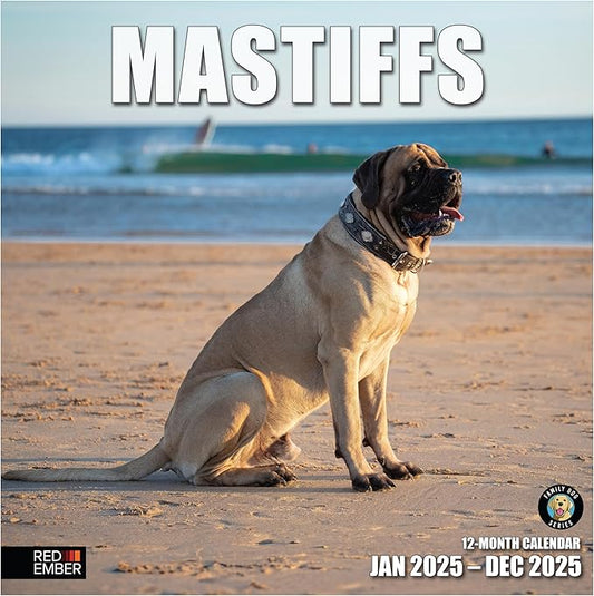 RED EMBER Mastiffs 2025 Wall Calendar 12 Month | 12" x 24" Open | Thick & Sturdy Paper | Giftable | Calendar 2025