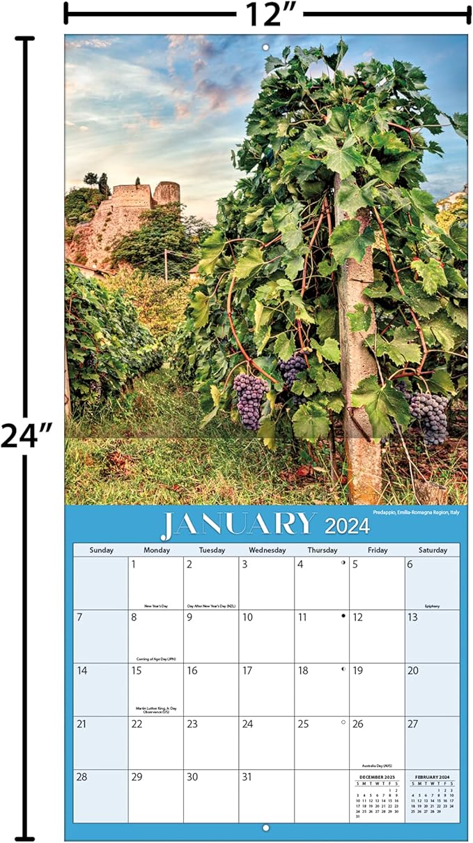TURNER PHOTOGRAPHIC Vineyards 12X12 Photo Wall Calendar (24998940057)