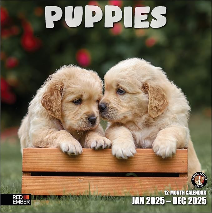 RED EMBER Puppies 2025 Wall Calendar 12 Month | 12" x 24" Open | Thick & Sturdy Paper | Giftable | Calendar 2025