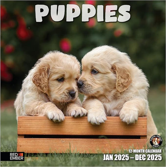 RED EMBER Puppies 2025 Wall Calendar 12 Month | 12" x 24" Open | Thick & Sturdy Paper | Giftable | Calendar 2025
