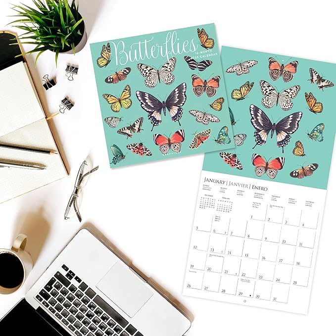 Graphique 2025 Butterflies Wall Calendar | 12” x 12” | Thick Paper | Home & Office Organizer | Large Monthly Grid | 3 Languages & Marked Holidays | 4 Month Preview Page for 2026