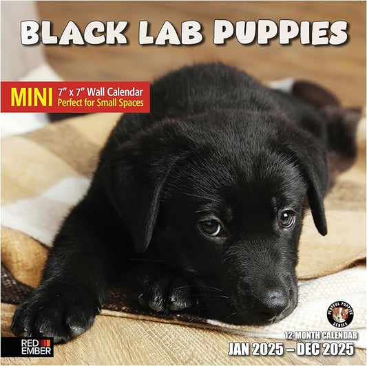 RED EMBER Black Lab Puppies Mini 2025 Wall Calendar 12 Month | 7" x 14" Open | Thick & Sturdy Paper | Giftable | Calendar 2025