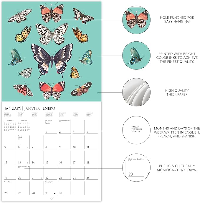 Graphique 2025 Butterflies Wall Calendar | 12” x 12” | Thick Paper | Home & Office Organizer | Large Monthly Grid | 3 Languages & Marked Holidays | 4 Month Preview Page for 2026