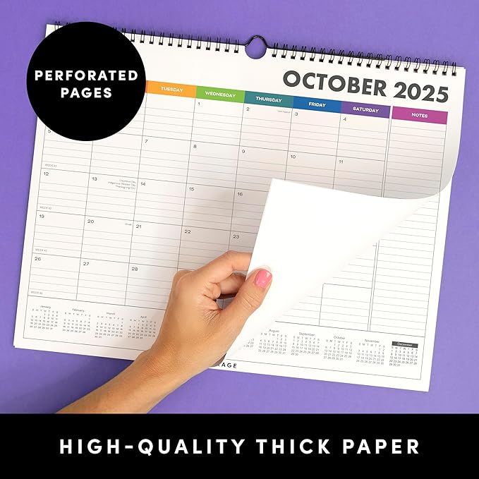 PAPERAGE Calendar 2025-12 Month (Rainbow), Minimalist Wall and Desk Calendar with Monthly Views and Yearly Plans – Medium (11.5 in x 14.75 in)