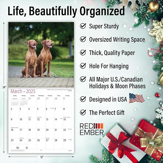 RED EMBER Vizslas 2025 Wall Calendar 12 Month | 12" x 24" Open | Thick & Sturdy Paper | Giftable | Calendar 2025