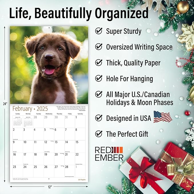 RED EMBER Lab Puppies 2025 Wall Calendar 12 Month | 12" x 24" Open | Thick & Sturdy Paper | Giftable | Calendar 2025