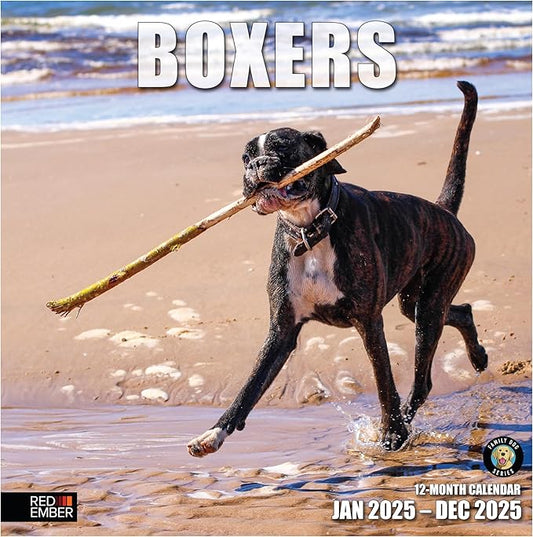 RED EMBER Boxers 2025 Wall Calendar 12 Month | 12" x 24" Open | Thick & Sturdy Paper | Giftable | Calendar 2025