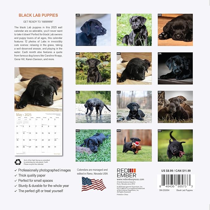 RED EMBER Black Lab Puppies Mini 2025 Wall Calendar 12 Month | 7" x 14" Open | Thick & Sturdy Paper | Giftable | Calendar 2025