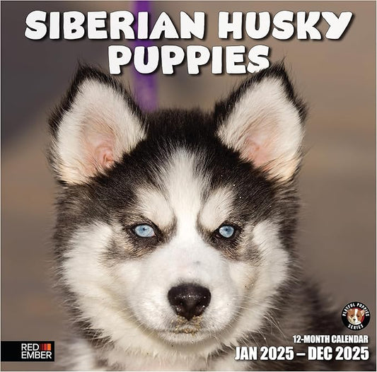 RED EMBER Siberian Husky Puppies 2025 Wall Calendar 12 Month | 12" x 24" Open | Thick & Sturdy Paper | Giftable | Calendar 2025