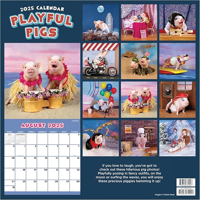 TF PUBLISHING 2025 Playful Pigs Wall Calendar - Large Grids for Appointments and Scheduling - Vertical Monthly Wall Calendar 2025 - Home and Office Organization - Premium Gloss Paper - 12"x12”