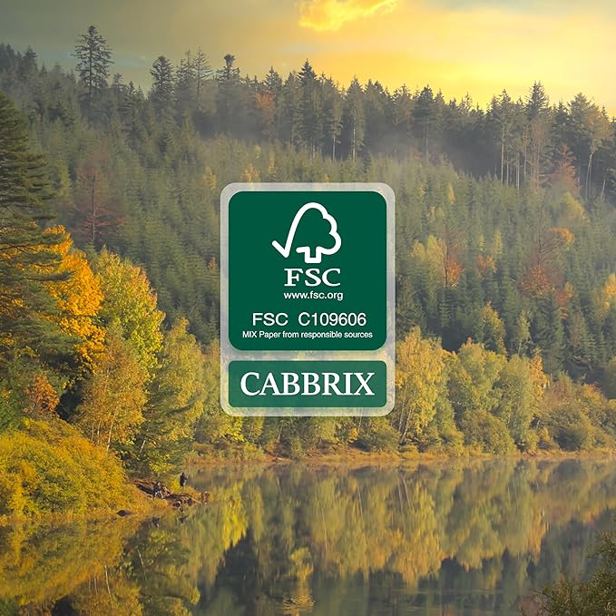 Cabbrix Simplified Desk Calendar 2025 with Desktop Mat, from Now to December 2025 Desk Pad Calendar Large 21 x 16-1/2 inch, Monthly Table Calendar for Home School and Office