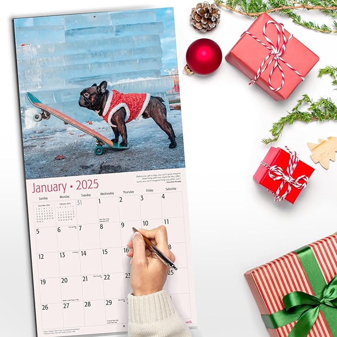 RED EMBER Dogs on Skateboards 2025 Wall Calendar 12 Month | 12" x 24" Open | Thick & Sturdy Paper | Giftable | Calendar 2025