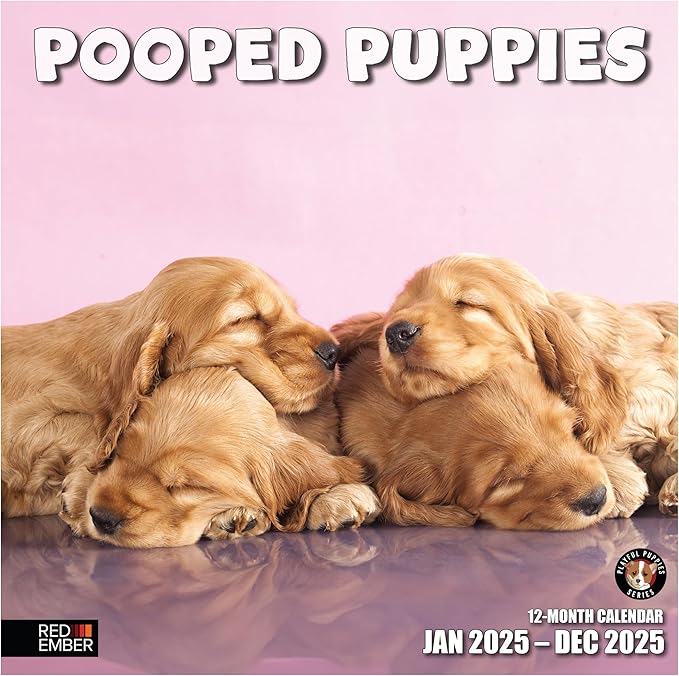 RED EMBER Pooped Puppies 2025 Wall Calendar 12 Month | 12" x 24" Open | Thick & Sturdy Paper | Giftable | Calendar 2025
