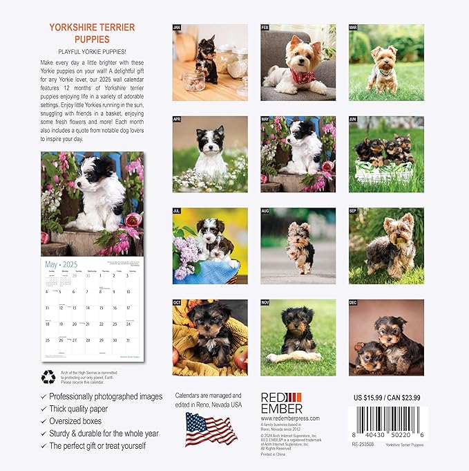 RED EMBER Yorkshire Terrier Puppies 2025 Wall Calendar 12 Month | 12" x 24" Open | Thick & Sturdy Paper | Giftable | Calendar 2025