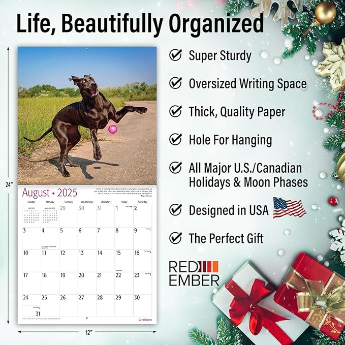 RED EMBER Great Danes 2025 Wall Calendar 12 Month | 12" x 24" Open | Thick & Sturdy Paper | Giftable | Calendar 2025