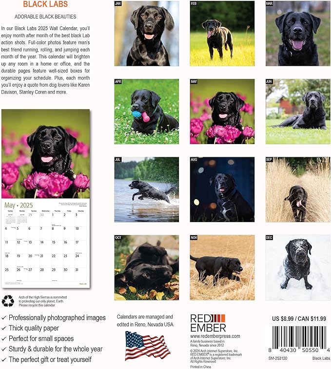 RED EMBER Black Labs Mini 2025 Wall Calendar 12 Month | 7" x 14" Open | Thick & Sturdy Paper | Giftable | Calendar 2025