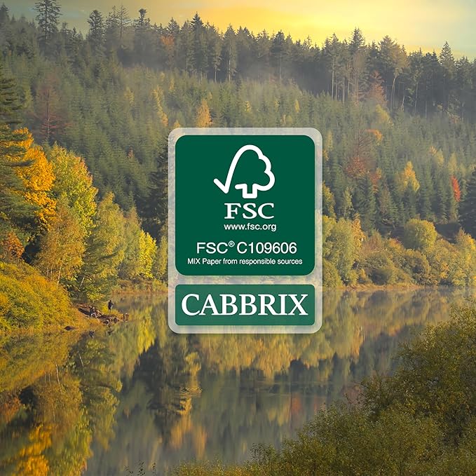 Cabbrix Simplified Desk Calendar 2025-2026 with Desktop Mat, Desk Pad Calendar Large 21" x 16-1/2" Runs from Jan 2025 to Jun 2026, Monthly Desktop Calendar for Home School and Office (Black)