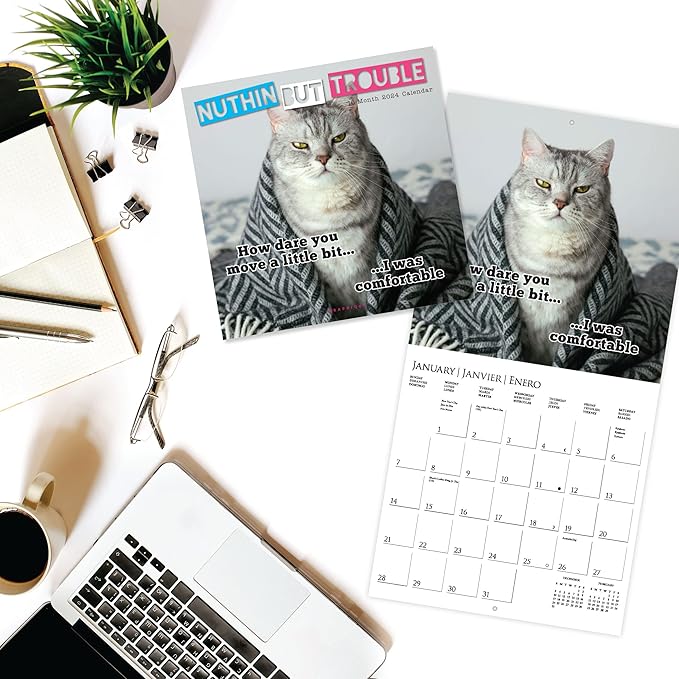 Graphique 2024 Nuthin But Trouble Wall Calendar | 12” x 12” | Thick Paper | Home & Office Organizer | Large Monthly Grid | 3 Languages & Marked Holidays | 4 Month Preview Page for 2025