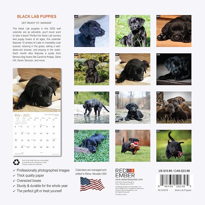 RED EMBER Black Lab Puppies 2025 Wall Calendar 12 Month | 12" x 24" Open | Thick & Sturdy Paper | Giftable | Calendar 2025