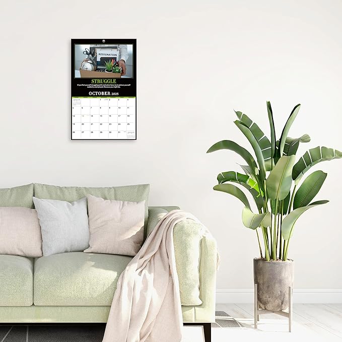 2025 Calendar - 12 Monthly Square Wall Calendar 2025, January - December 2025, 11'' x 9'', 2025 Demotivational Calendar, 2025 Calendar 12 Month for Demotivational Funny Silly Gift