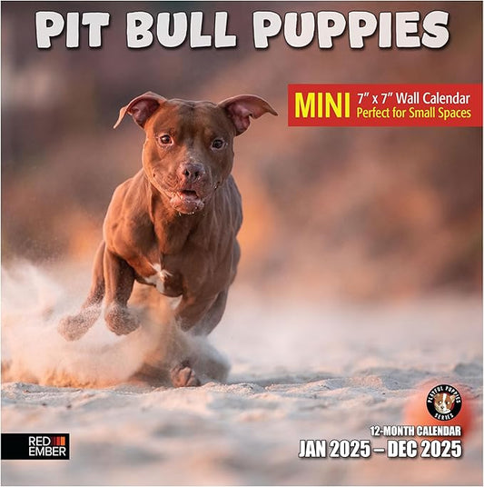 RED EMBER Pit Bull Puppies Mini 2025 Wall Calendar 12 Month | 7" x 14" Open | Thick & Sturdy Paper | Giftable | Calendar 2025