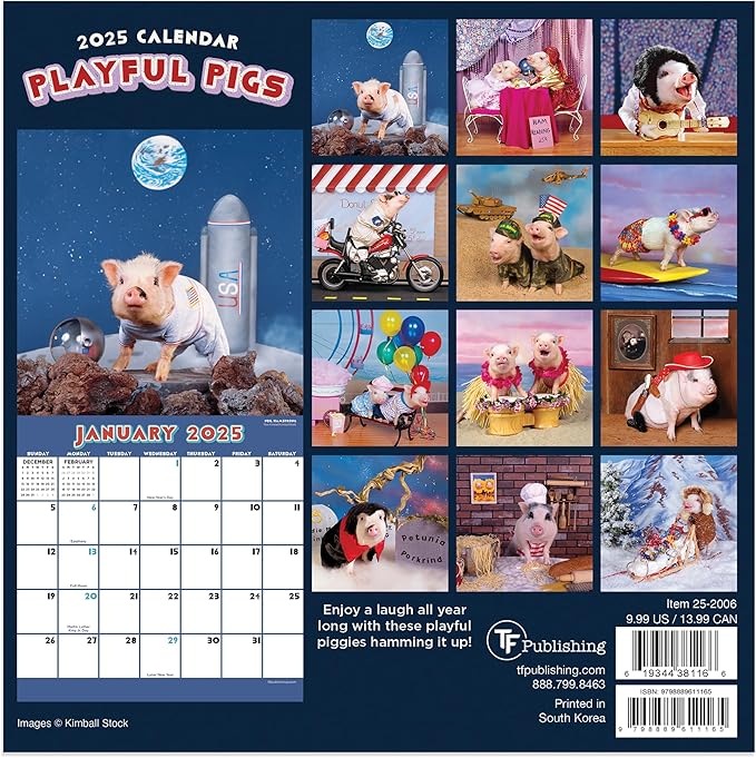 TF PUBLISHING 2025 Playful Pigs Mini Calendar Case of 90 - Large Grids for Appointments and Scheduling - Vertical Monthly Wall Calendar - Home and Office Organization - Premium Gloss Paper - 7"x7"