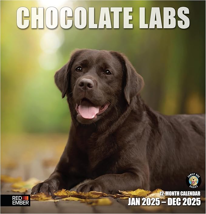 RED EMBER Chocolate Labs 2025 Wall Calendar 12 Month | 12" x 24" Open | Thick & Sturdy Paper | Giftable | Calendar 2025