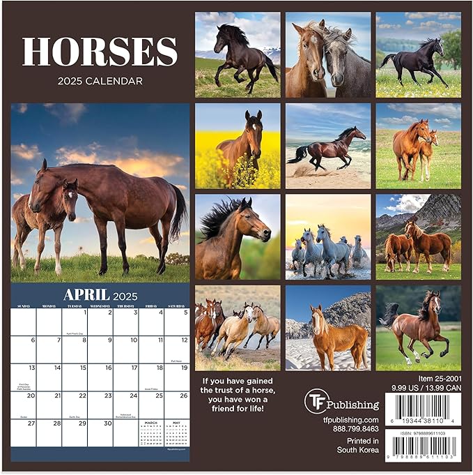 TF PUBLISHING 2025 Horses Mini Calendar - Large Grids for Appointments and Scheduling - Vertical Monthly Wall Calendar 2025 - Home and Office Organization - Premium Thick Gloss Paper - 7"x7"