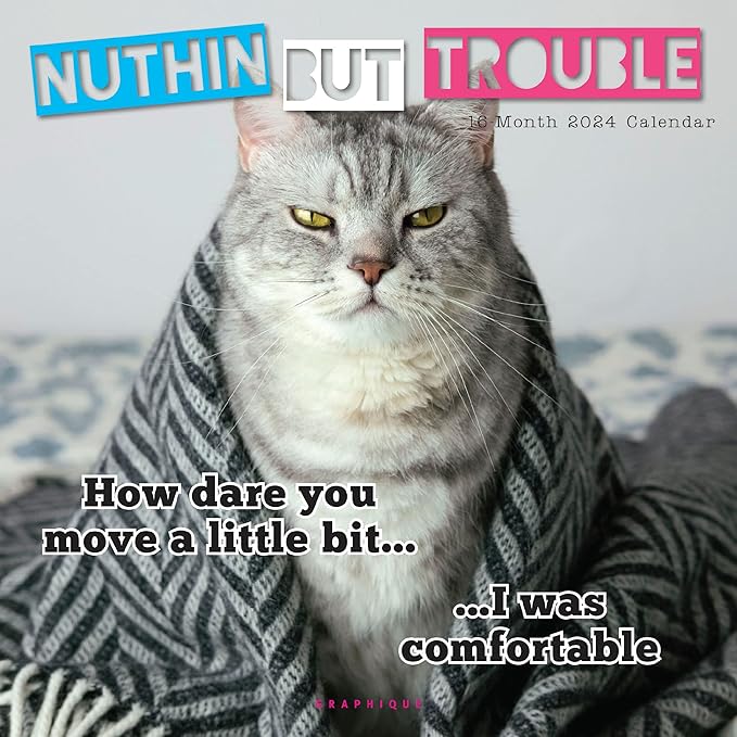 Graphique 2024 Nuthin But Trouble Wall Calendar | 12” x 12” | Thick Paper | Home & Office Organizer | Large Monthly Grid | 3 Languages & Marked Holidays | 4 Month Preview Page for 2025