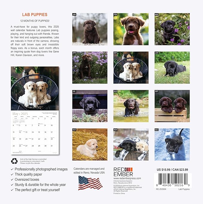 RED EMBER Lab Puppies 2025 Wall Calendar 12 Month | 12" x 24" Open | Thick & Sturdy Paper | Giftable | Calendar 2025
