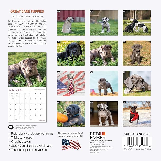 RED EMBER Great Dane Puppies 2025 Wall Calendar 12 Month | 12" x 24" Open | Thick & Sturdy Paper | Giftable | Calendar 2025