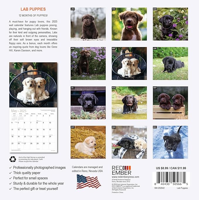 RED EMBER Lab Puppies Mini 2025 Wall Calendar 12 Month | 7" x 14" Open | Thick & Sturdy Paper | Giftable | Calendar 2025