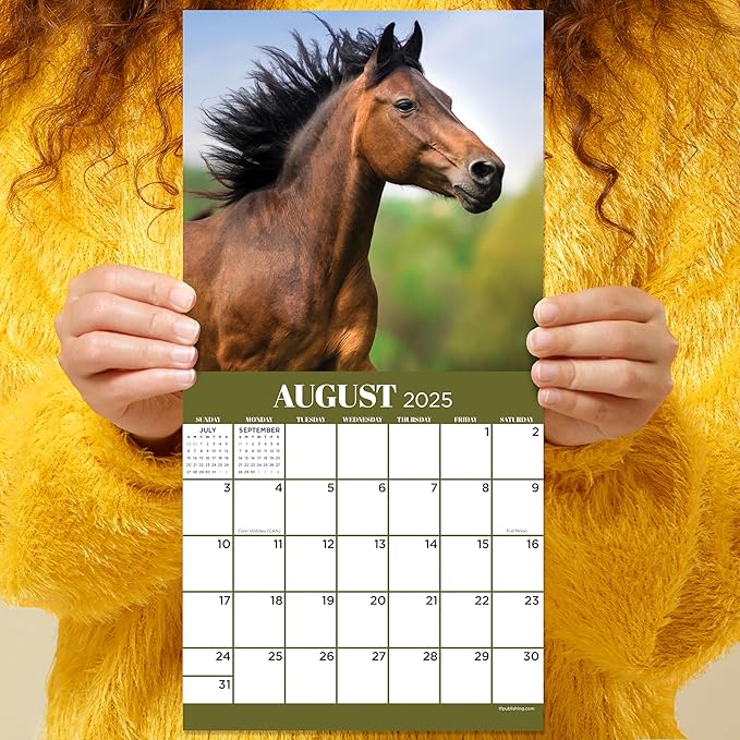 TF PUBLISHING 2025 Horses Mini Calendar Case of 90 - Large Grids for Appointments and Scheduling - Vertical Monthly Wall Calendar 2025 - Home and Office Organization - Premium Gloss Paper - 7"x7"