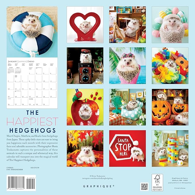 Graphique 2025 Happiest Hedgehogs Wall Calendar | 12” x 12” | Thick Paper | Home & Office Organizer | Large Monthly Grid | 3 Languages & Marked Holidays | 4 Month Preview Page for 2026