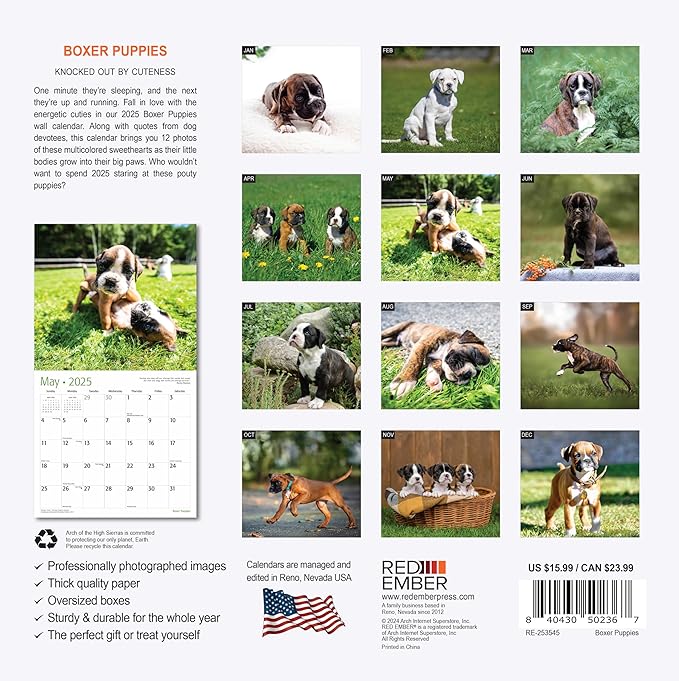 RED EMBER Boxer Puppies 2025 Wall Calendar 12 Month | 12" x 24" Open | Thick & Sturdy Paper | Giftable | Calendar 2025