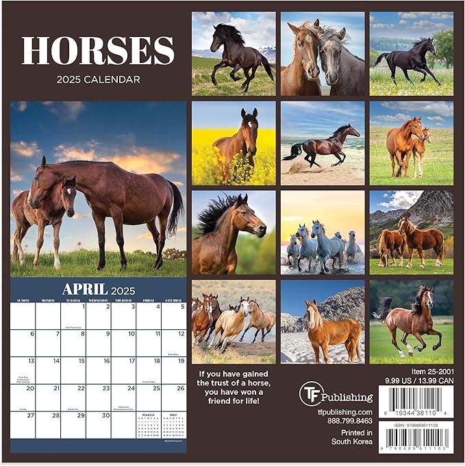 TF PUBLISHING 2025 Horses Mini Calendar Case of 90 - Large Grids for Appointments and Scheduling - Vertical Monthly Wall Calendar 2025 - Home and Office Organization - Premium Gloss Paper - 7"x7"