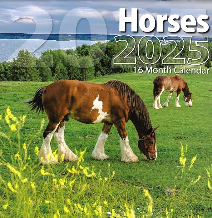 Bachmann Press 2025 Horses Full Size Wall Calendar for Planning, Scheduling, and Organizing