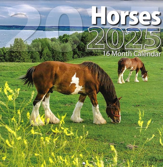 Bachmann Press 2025 Horses Full Size Wall Calendar for Planning, Scheduling, and Organizing
