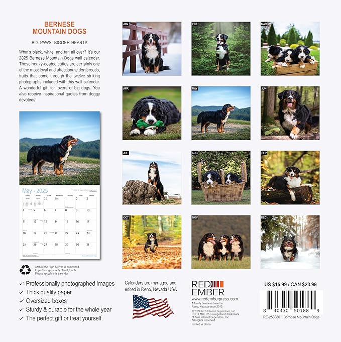 RED EMBER Bernese Mountain Dogs 2025 Wall Calendar 12 Month | 12" x 24" Open | Thick & Sturdy Paper | Giftable | Calendar 2025