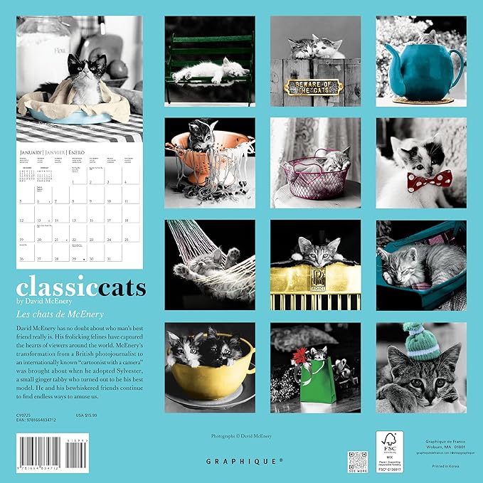 Graphique 2025 Classic Cats Wall Calendar | 12” x 12” | Thick Paper | Home & Office Organizer | Large Monthly Grid | 3 Languages & Marked Holidays | 4 Month Preview Page for 2026