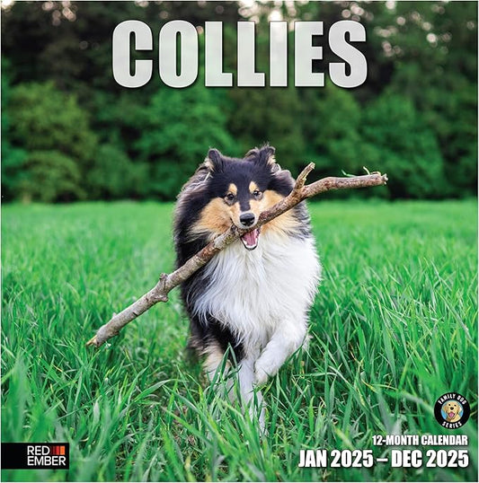 RED EMBER Collies 2025 Wall Calendar 12 Month | 12" x 24" Open | Thick & Sturdy Paper | Giftable | Calendar 2025
