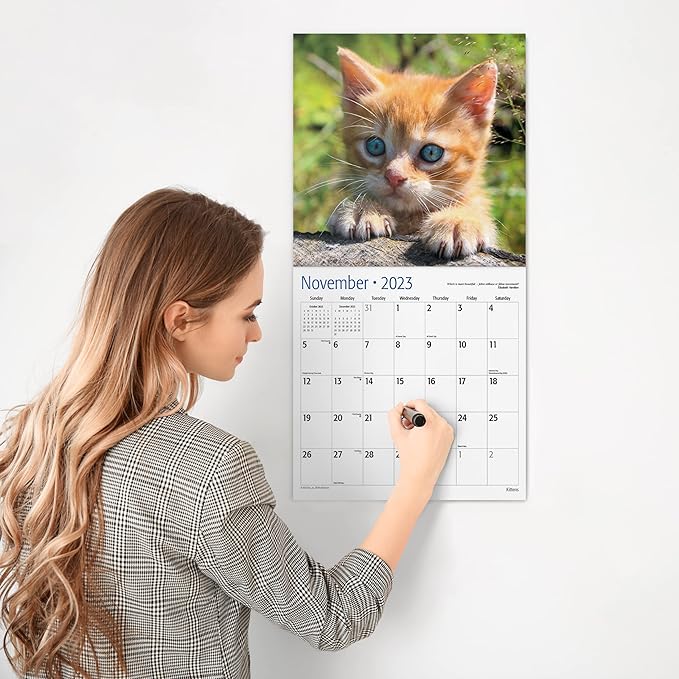 RED EMBER Kittens! 2023 Hangable Monthly Wall Calendar | 12" x 24" Open | Thick & Sturdy Paper | Giftable | Kids Cute Kitten Cat | Cuteness Overload