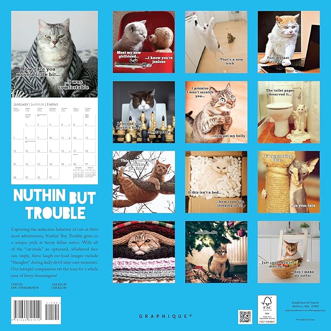Graphique 2024 Nuthin But Trouble Wall Calendar | 12” x 12” | Thick Paper | Home & Office Organizer | Large Monthly Grid | 3 Languages & Marked Holidays | 4 Month Preview Page for 2025